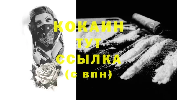 индика Красноперекопск