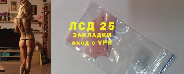 индика Красноперекопск