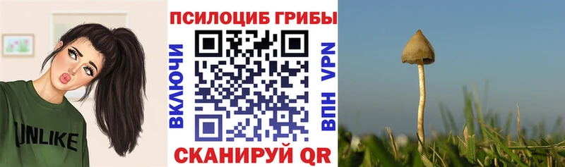 Галлюциногенные грибы мицелий  Купить где  Искитим 